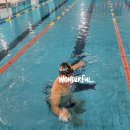 진잠다목적체육관 이미지