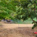 산내하이원펜션 이미지