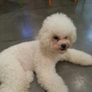 치쿠치쿠 이미지