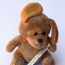 용강동물병원 이미지