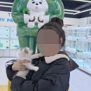 인천강아지분양 테디럽 | 인천 강아지분양: 테디럽에서 만나는 특별한 친구들