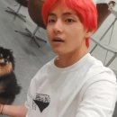 태형 이미지