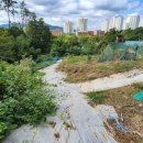 오케이농장 이미지