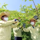 밀양시농업기술센터 이미지