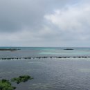 예쁘게즐겁게 이미지