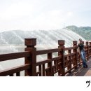 번개삼촌