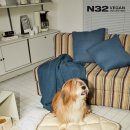 우리강아지 이미지