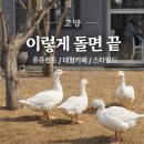 쥬쥬 오락실 | 서울 근교 데이트 코스 추천｜고양 쥬쥬랜드·스타필드·카페 하루 코스