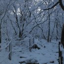 2025소백산 첫눈 내리다(11.25.) 이미지