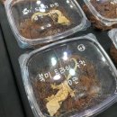한국이색반려동물박람회 이미지