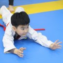 호원태권도체육관 이미지