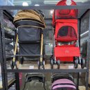 야옹아 멍멍해봐(수원 구운점) 이미지