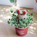 강경황산초등학교 이미지