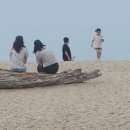 바다정원 이미지