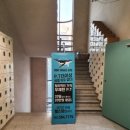 민트고래짐 이미지