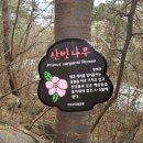 가야산주유소 이미지