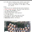 피톤치드 화장실 | [국내여행]비오는 날, 원주 소금산 피톤치드 글램핑(솔직후기, 예약방법, 자리선정팁)