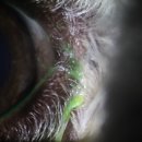 광주다온동물병원 이미지