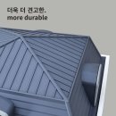 네버랜드