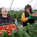 혜숙농장 이미지