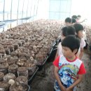 대훈농장 이미지