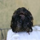 성산면사무소 이미지