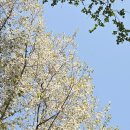 경기둘레길 양평28코스 | 경기둘레길 양평 (28 + 27) 코스 갈운임도길 &amp; 용두천길(점말 - 증골 - 용두터미널)