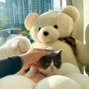 행복을 배우는 공간 이미지