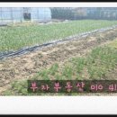 화심농장 이미지