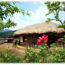 마음의 고향 이미지