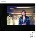 코끼리들이 웃는다 이미지