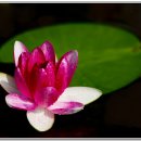 생림중학교 이미지