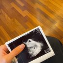 도로시여성의원 이미지