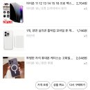 사고 싶었던 게 있었는데 산 건 이거다 (테무+테무 험담)