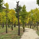 스테이 소안 이미지