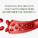 코어앤플러스