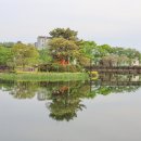 만년교 | 경남 창녕 영산 만년교 연지못 수양벚꽃
