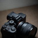 R-5 | A7R5 간단 촬영 후기