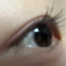 활짝핀 속눈썹 이미지