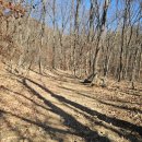 운수암 등산로 이미지