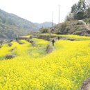 남해-186 이미지