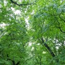 금반초교 이미지