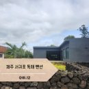 단심스테이 | 제주 서귀포 독채펜션 실내 자쿠지 감성숙소 단심스테이 후기