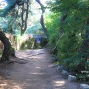 경주숲 3,4 이미지