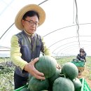강대성농장 농민신문