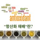 농업회사법인 주식회사 장강축산 | 사과재배 일소와 열과 고민 기후위기 시대 농업의 새로운 해답, 극복하는항산화재배 강의