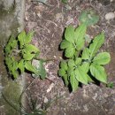 서상농장 이미지