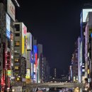 도톤보리 이미지