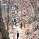 봉명산 이미지