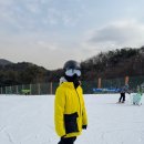 하이원스키강습 맘스스키 프리미엄유아스키강습